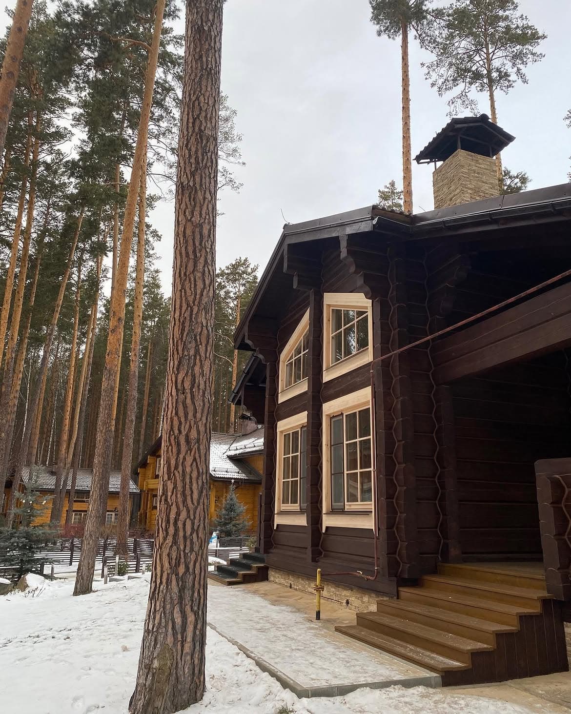 Реставрация дома из лафета, «Финский залив» — фото